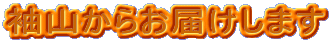 R炨͂܂